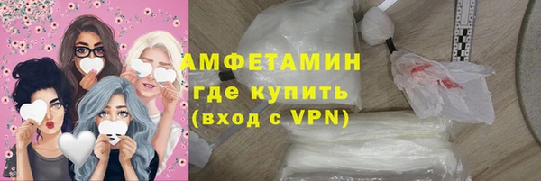 индика Гусь-Хрустальный