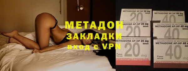 индика Гусь-Хрустальный