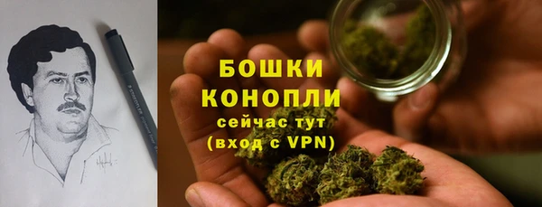 Альфа ПВП Гусев