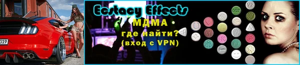 индика Гусь-Хрустальный