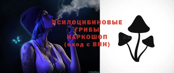 индика Гусь-Хрустальный
