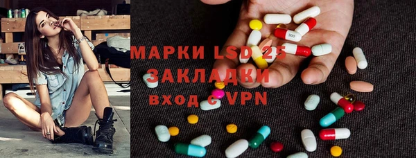 индика Гусь-Хрустальный