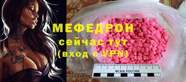 индика Гусь-Хрустальный