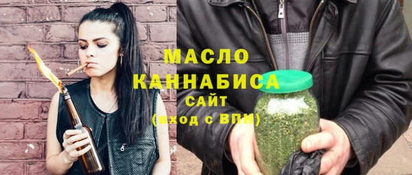 индика Гусь-Хрустальный