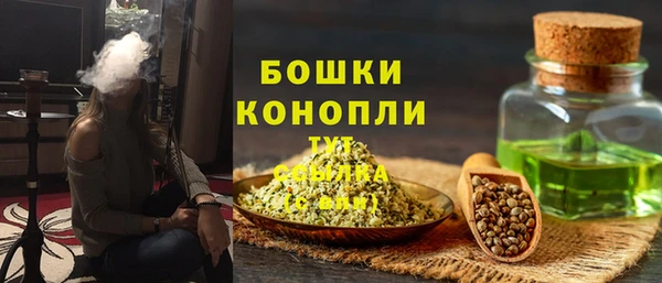 ГАЛЛЮЦИНОГЕННЫЕ ГРИБЫ Гусиноозёрск