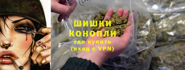 индика Гусь-Хрустальный