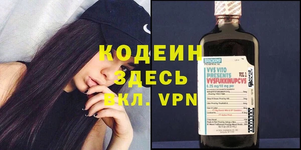 индика Гусь-Хрустальный