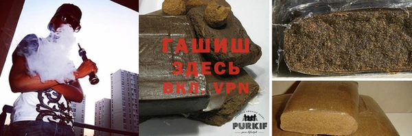 индика Гусь-Хрустальный