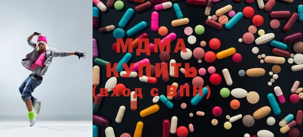 индика Гусь-Хрустальный